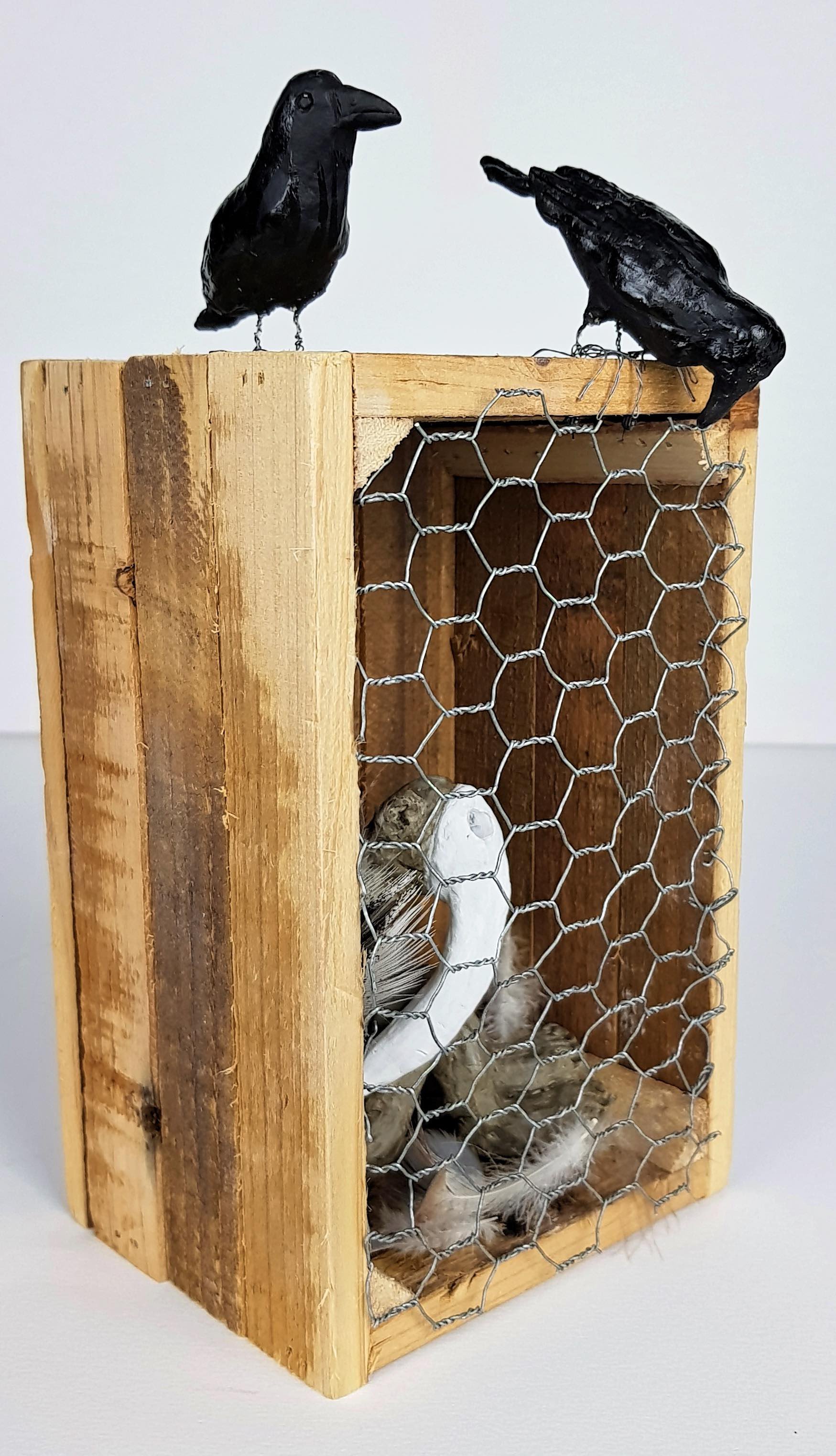 Cage à peste - Vue 1