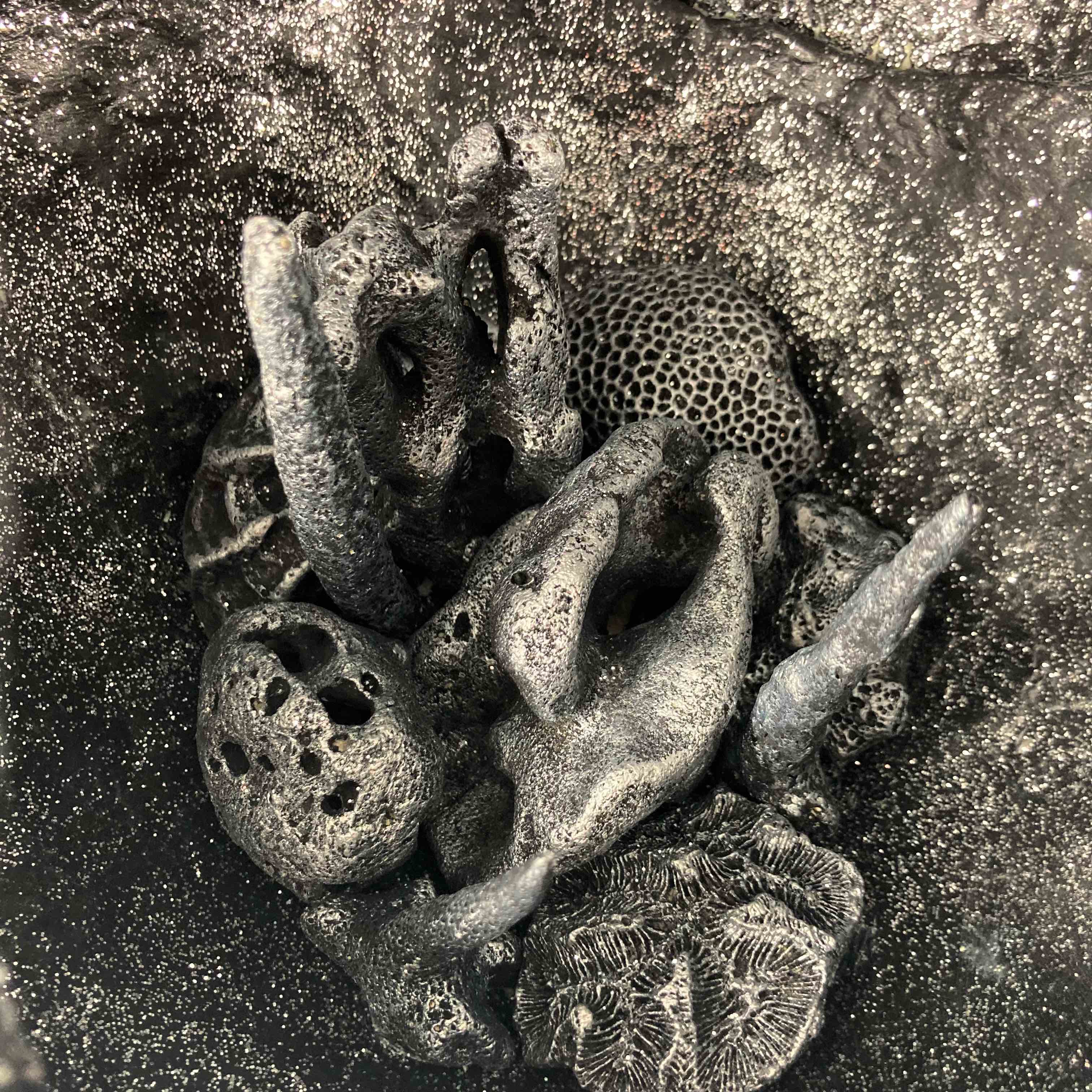 Constellation - Vue 1