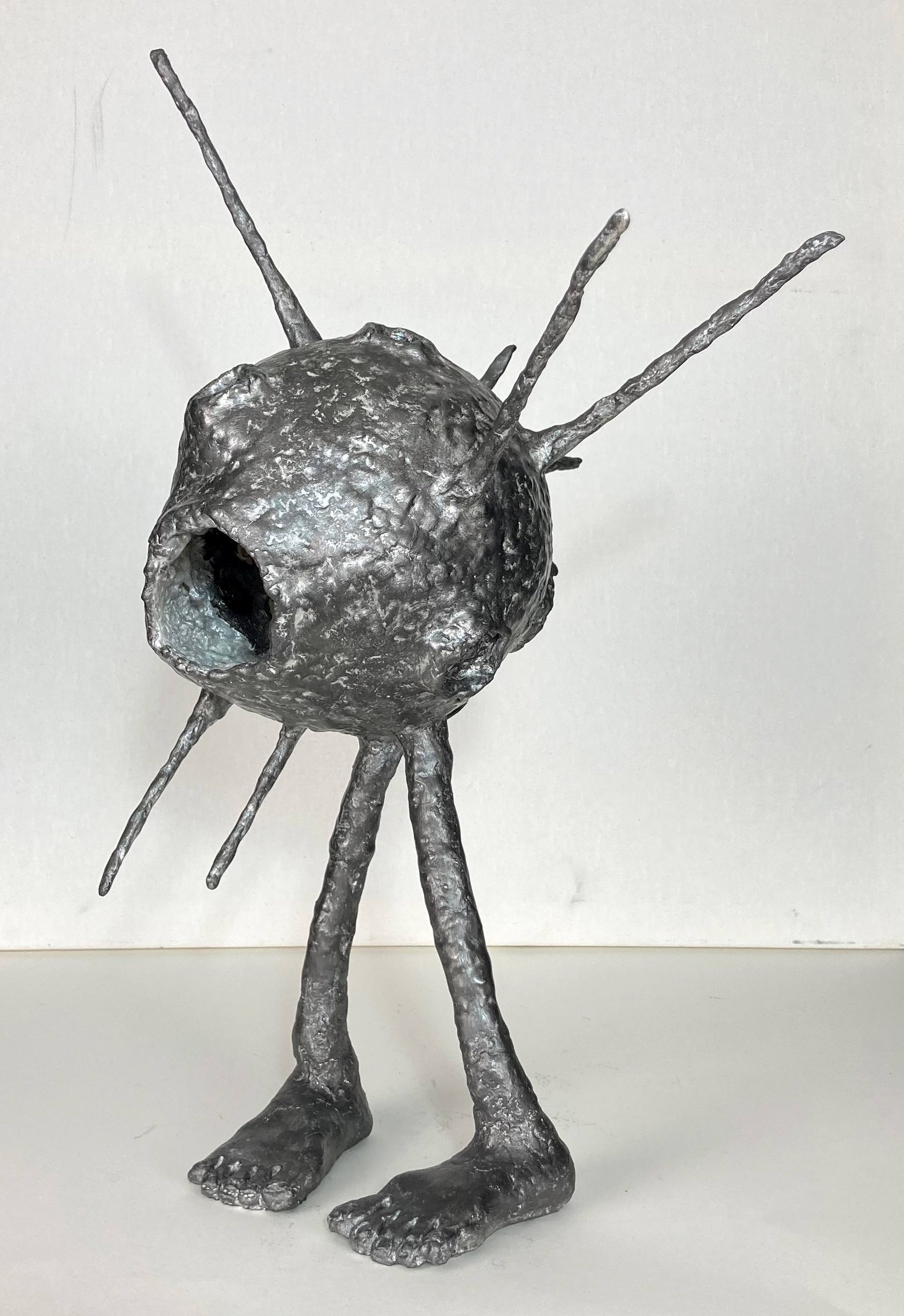 Le Timide de l'Espace