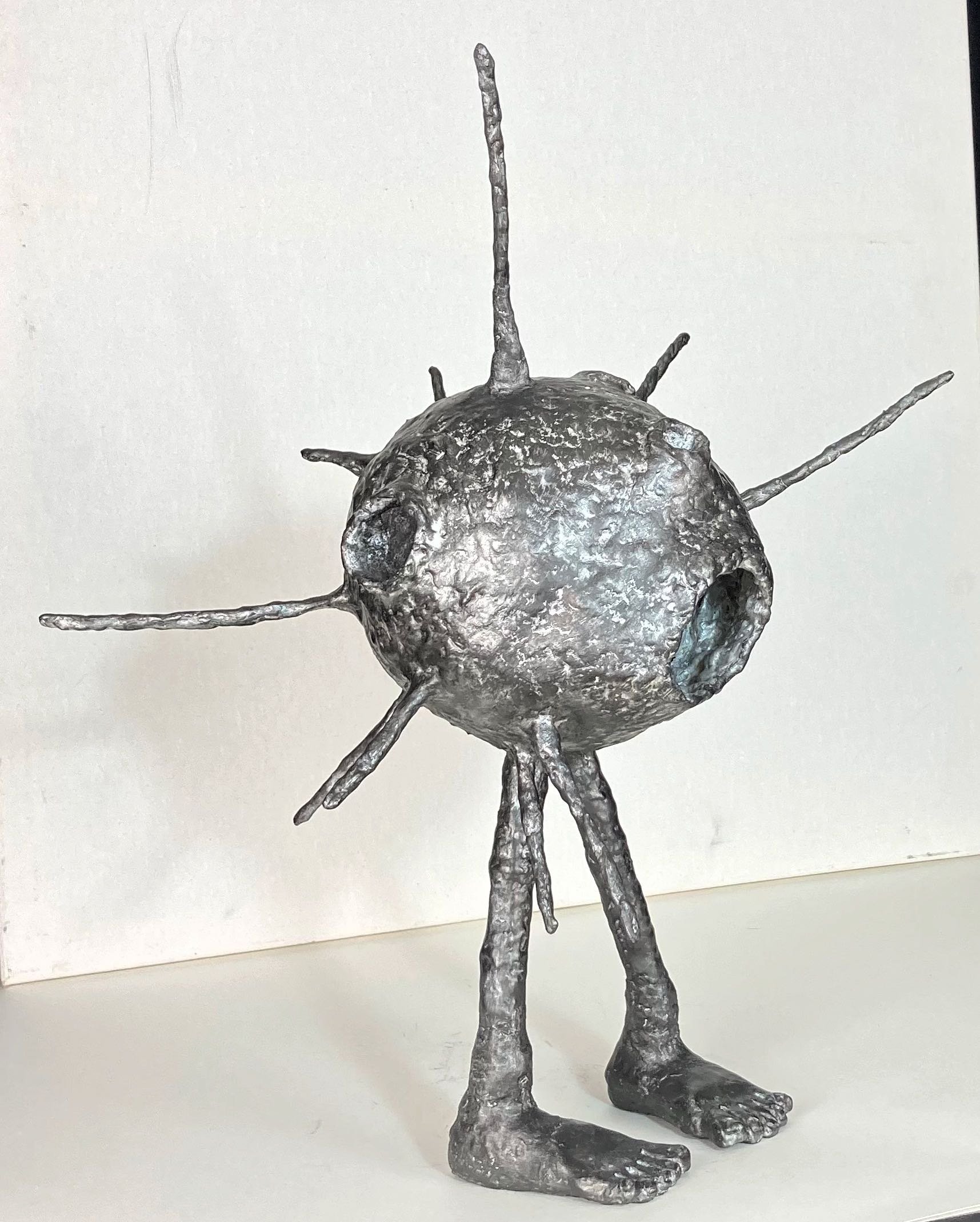 Le Timide de l'Espace - Vue 1