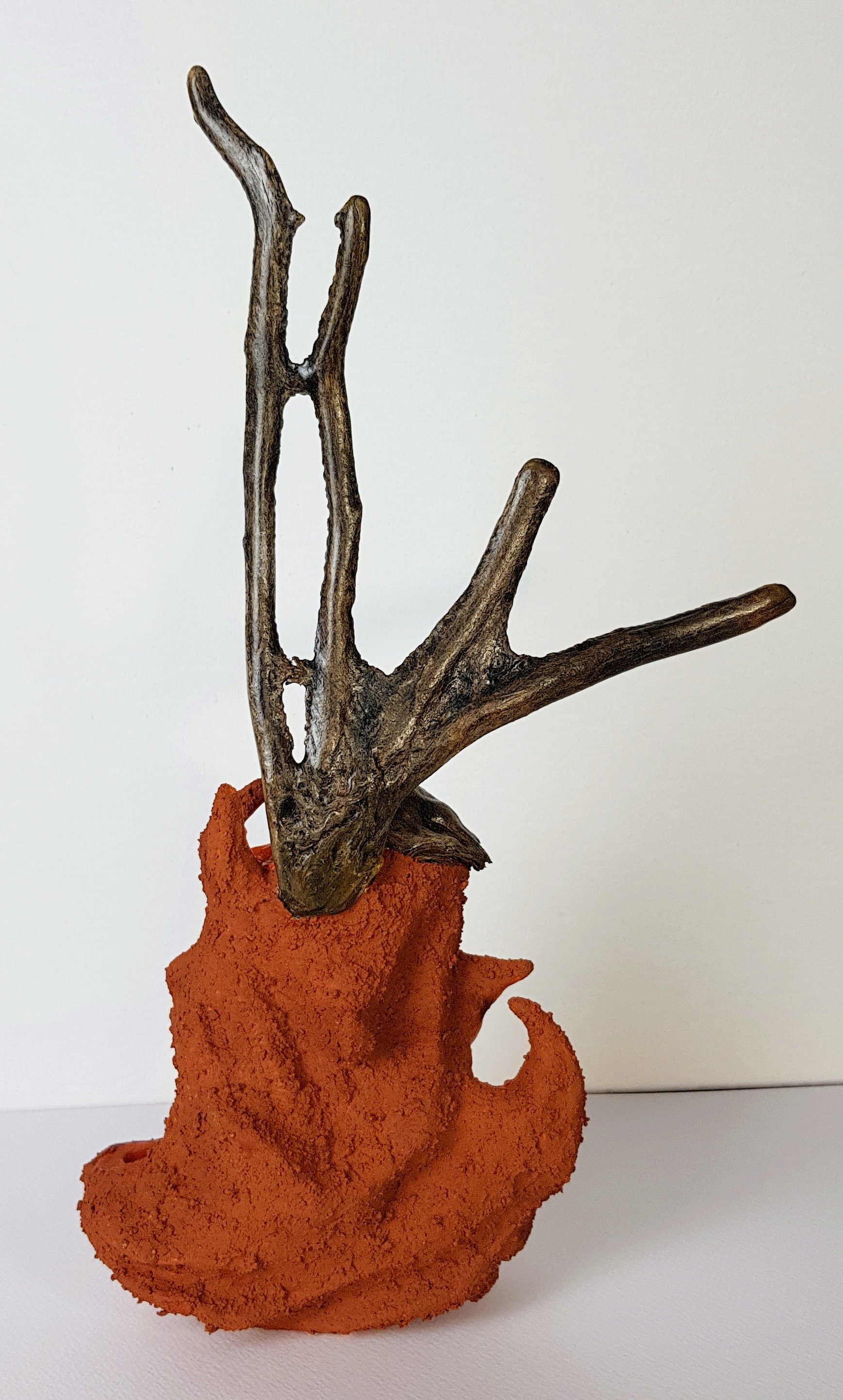 Limace de l'espace - Vue 1