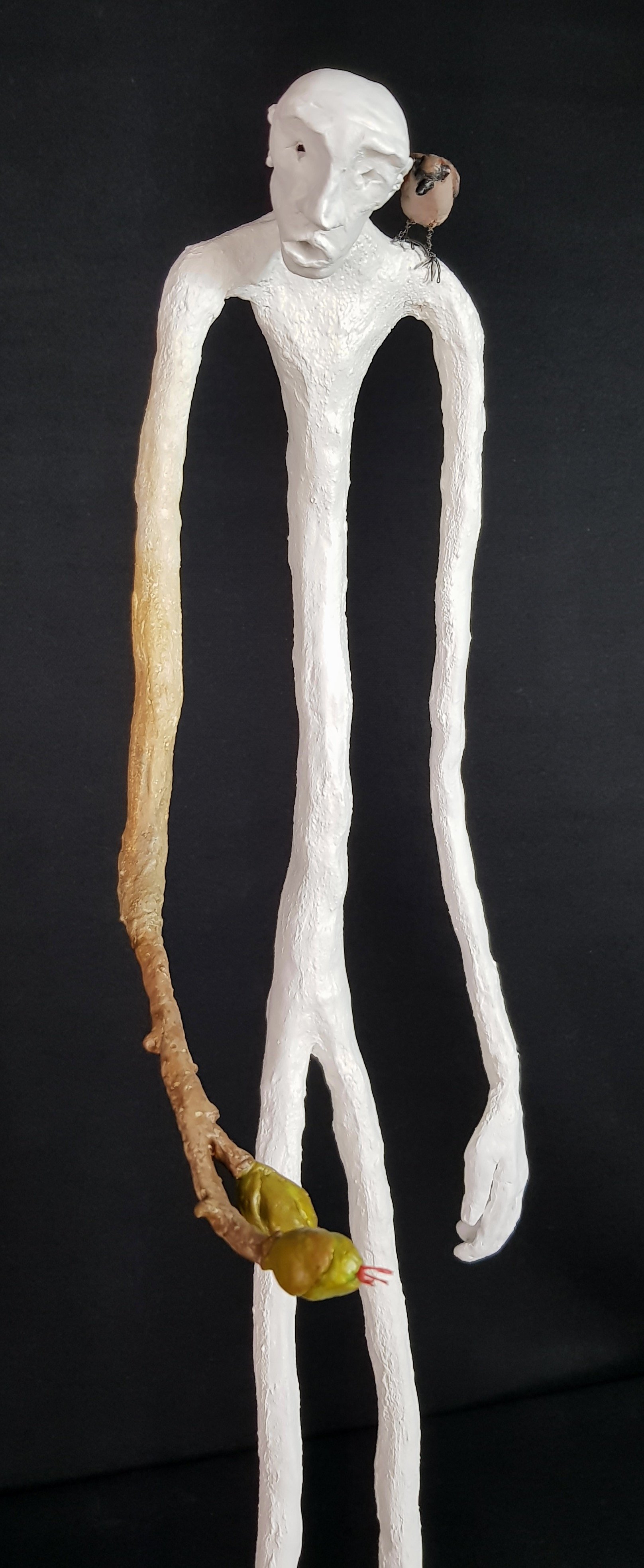 Métamorphose - Vue 2