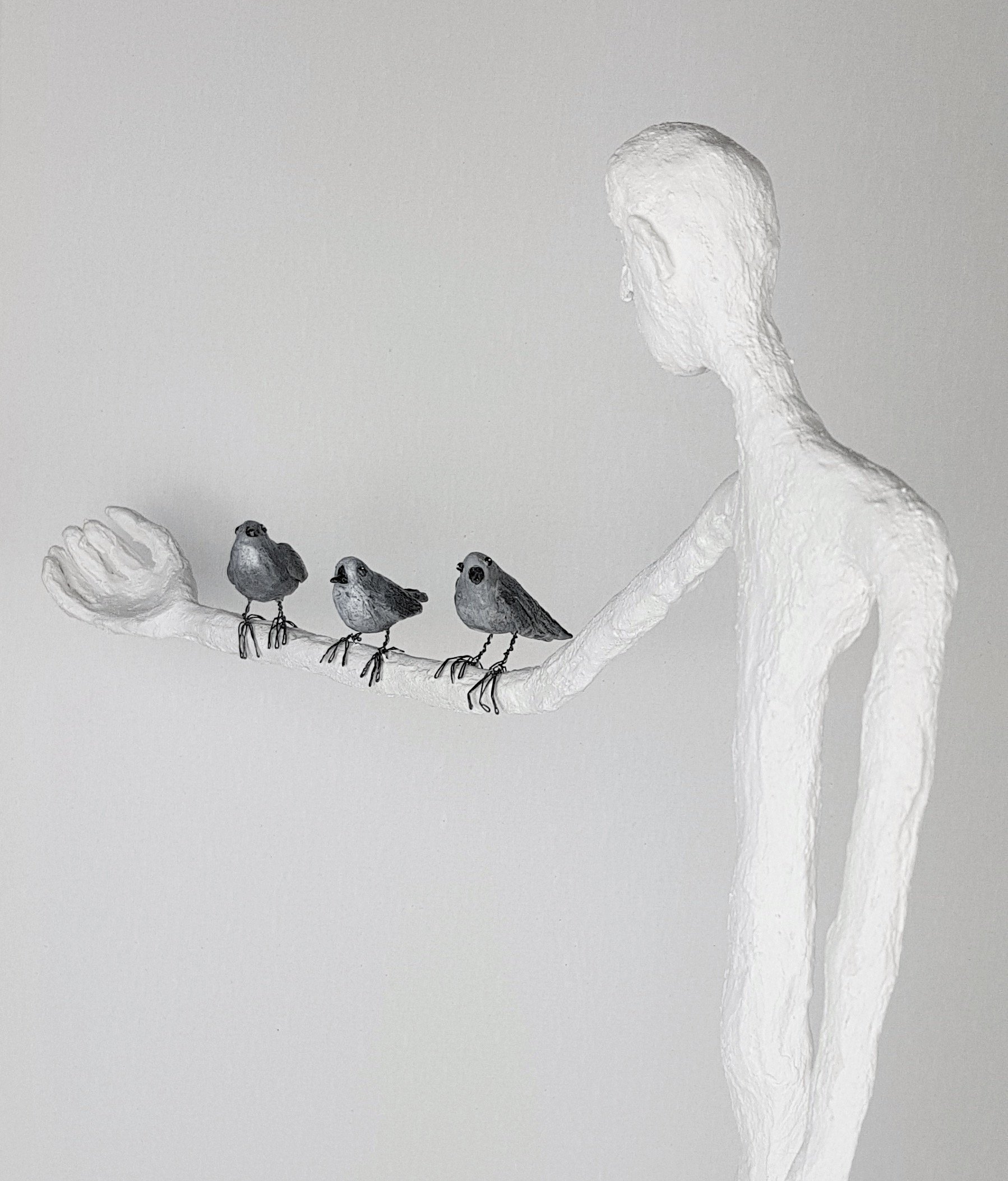 Oh Les Oiseaux - Vue 2