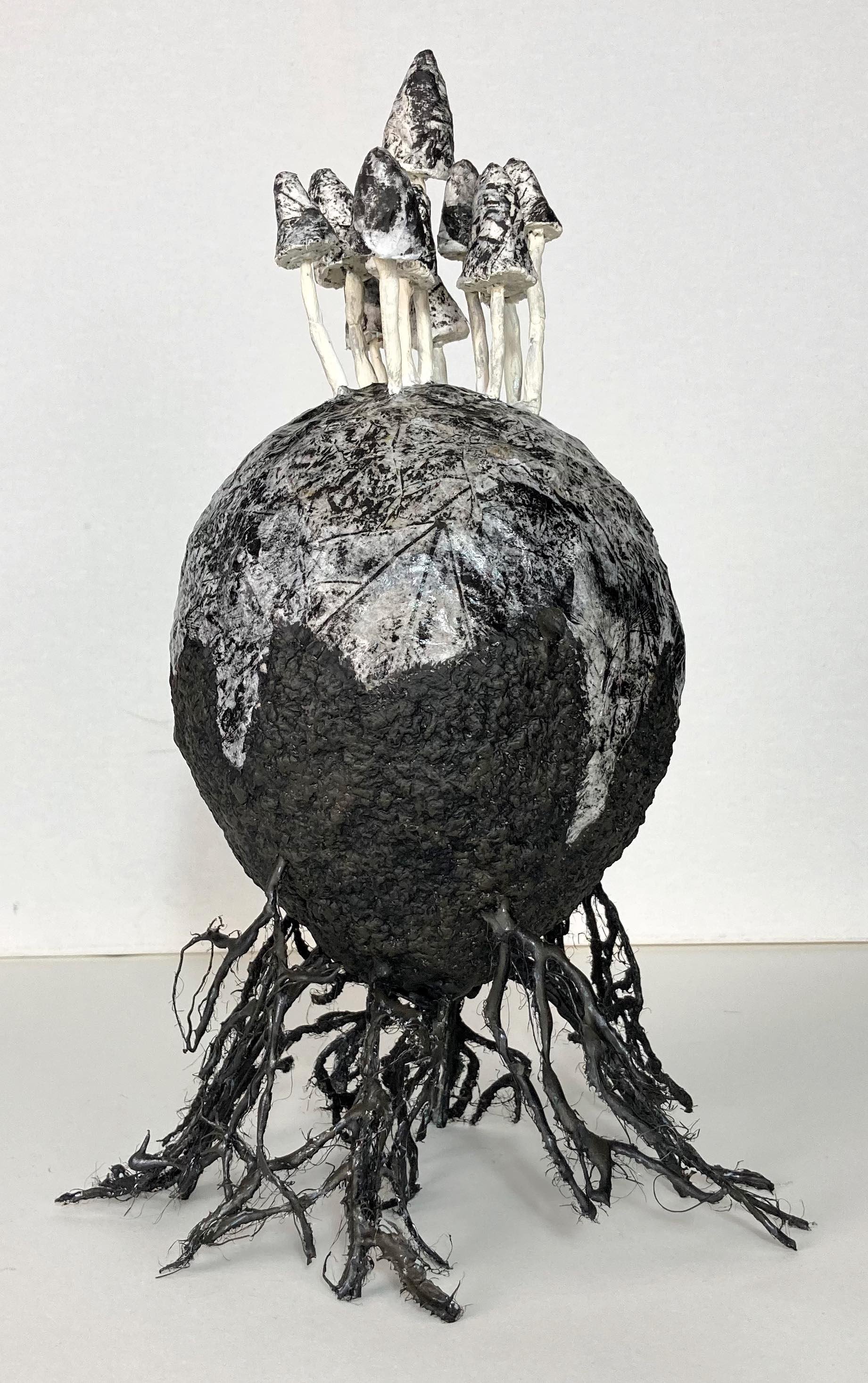 Rhizosphère - Vue 1