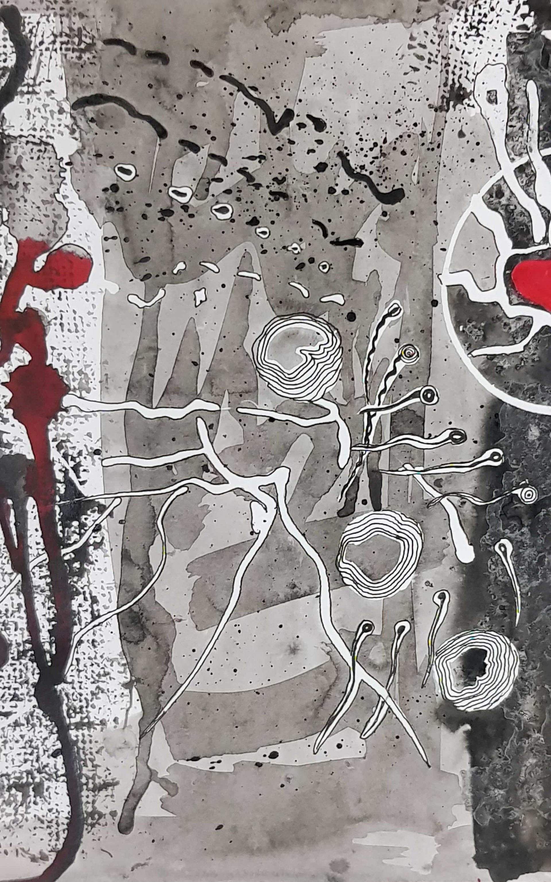 Cellule rouge - Vue 2