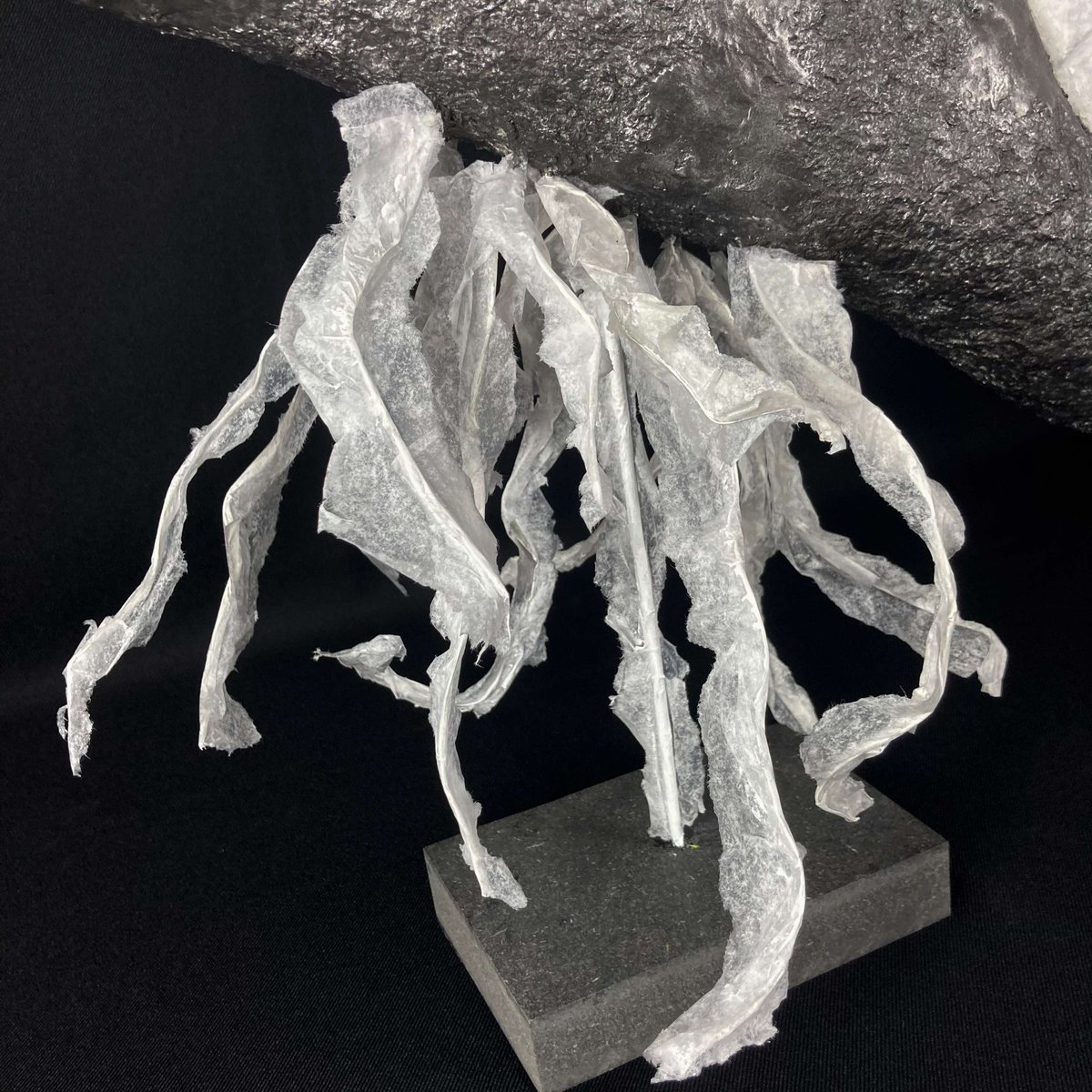 Physalies - vue 2